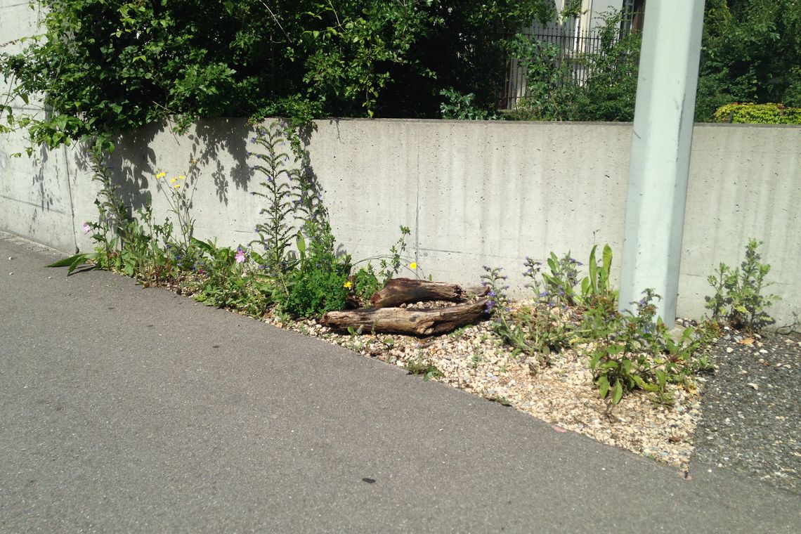 Entsiegelte, begrünte Kleinfläche