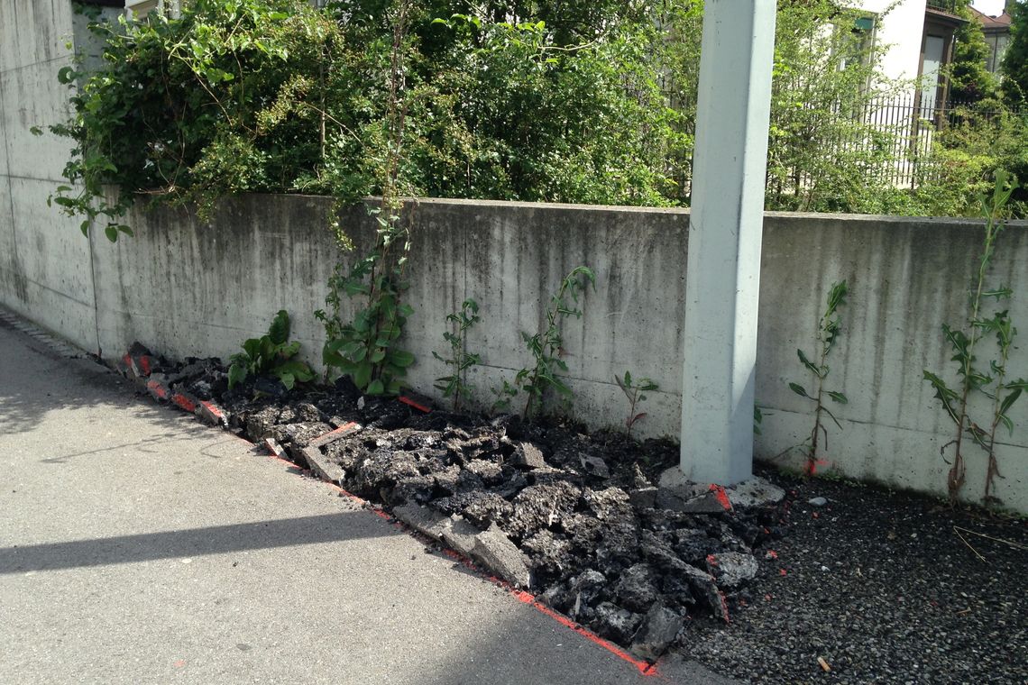 Versiegelte Kleinfläche vor der Bearbeitung