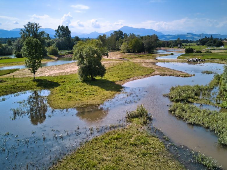 Vernetzungsplattform Natur 2030