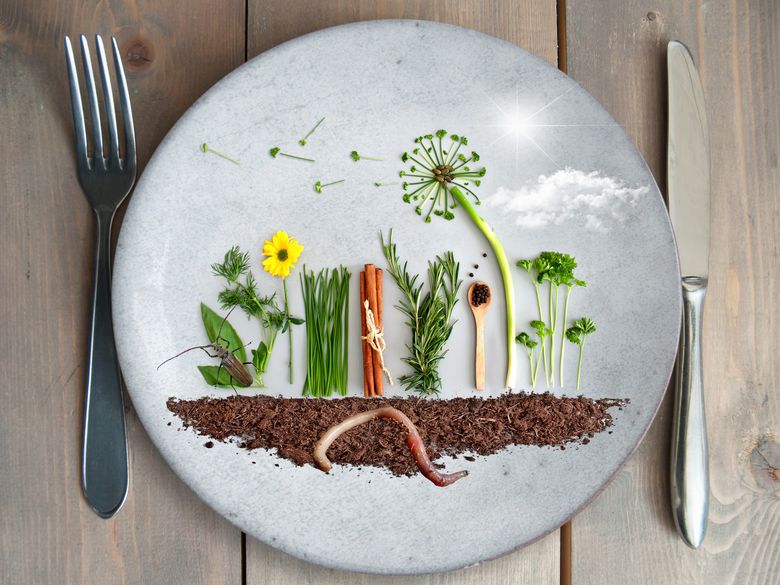 «Grünfutter», der Naturama-Mittagsinput «Grünfutter», der Naturama-Mittagsinput