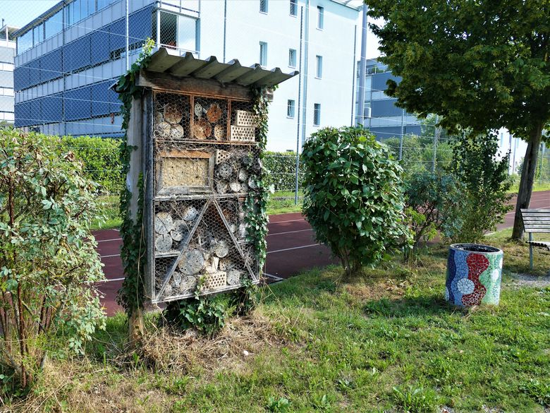 Stadt, Natur, Tier und wir