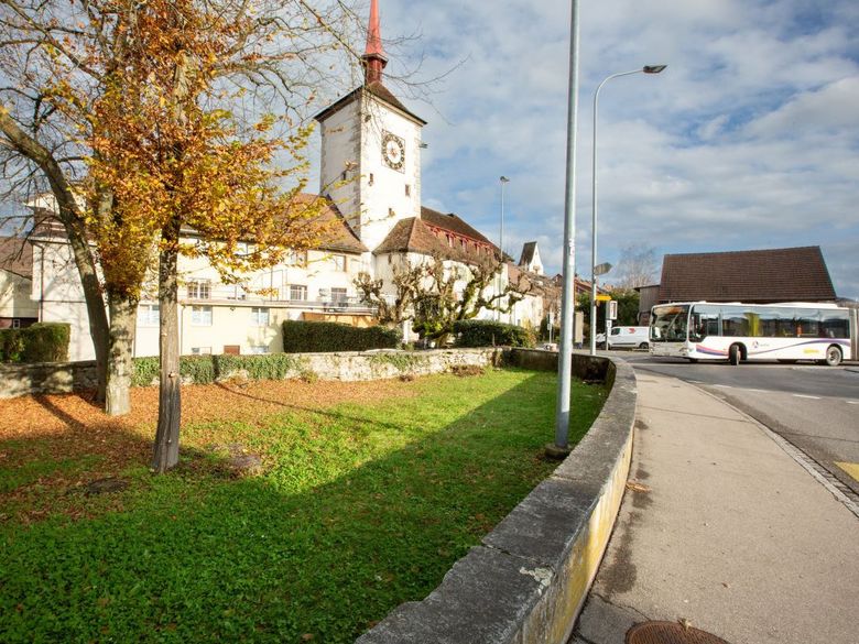 Klimaspaziergang in Mellingen Klimaspaziergang in Mellingen