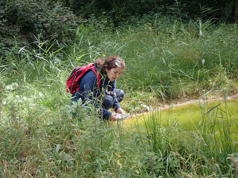 An Gewässern forschen und experimentieren An Gewässern forschen und experimentieren