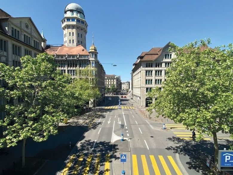 Die Stadtbäume der Zukunft Die Stadtbäume der Zukunft