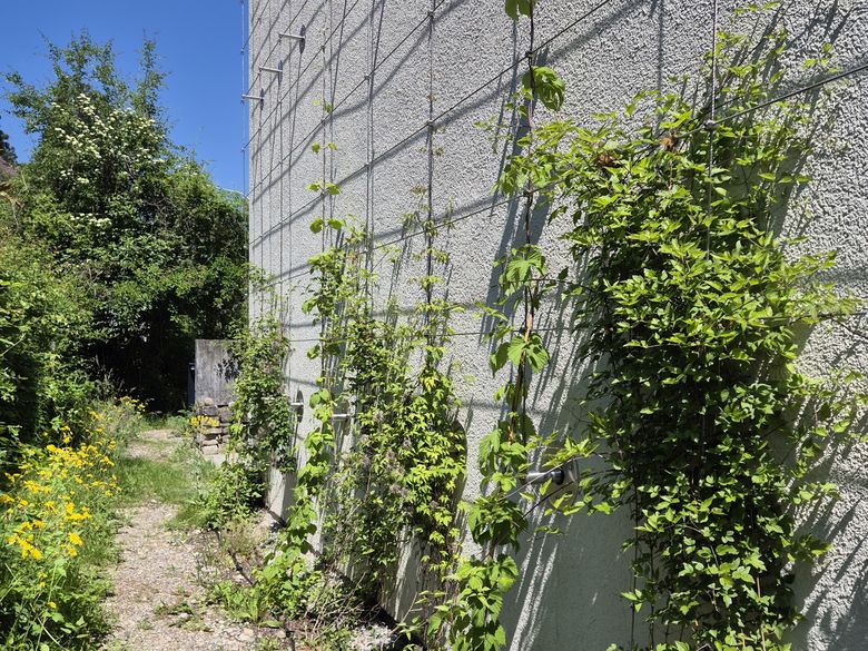 Hoch hinaus mit Vertikalbegrünung Hoch hinaus mit Vertikalbegrünung