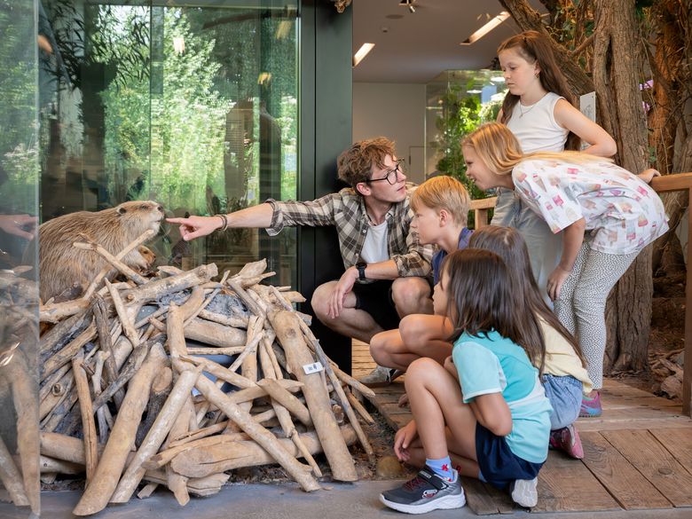 Auenland Aargau – ein Naturjuwel Auenland Aargau – ein Naturjuwel