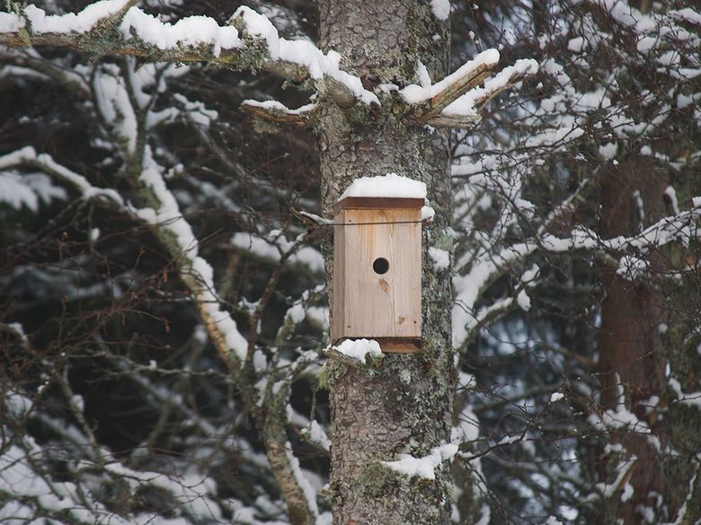 Herausgeputzt und eingenistet Herausgeputzt und eingenistet