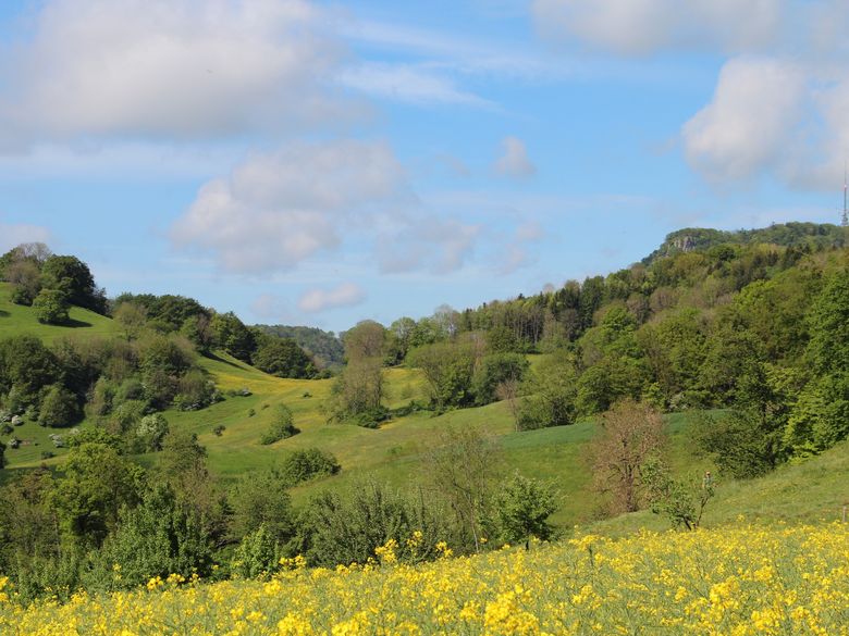 Landschaft lesen und erleben - Geschichte, Wandel, Bedeutung Landschaft lesen und erleben - Geschichte, Wandel, Bedeutung