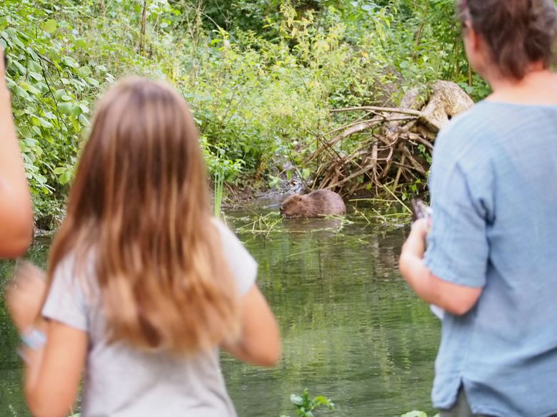 Familiensommer: Auf Biberpirsch im Auenland