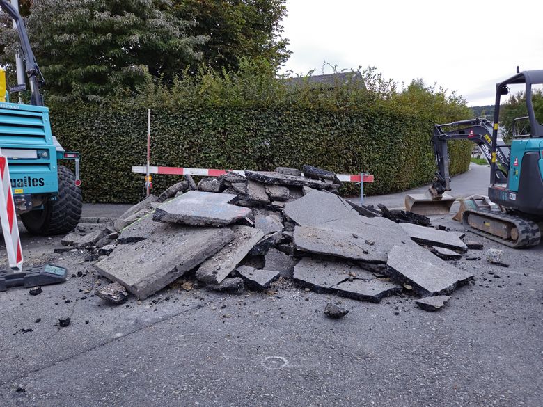 Asphalt knacken für eine blühende Zukunft Asphalt knacken für eine blühende Zukunft